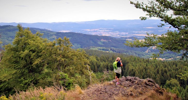 Jana Sindelarova_fotí2.jpg